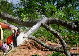 Seasonal Cleanup (Spring/Fall) in Rushville, IN